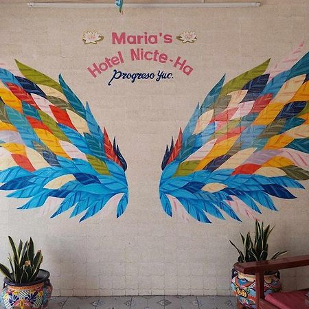 Hotel Maria'S Nicte Ha Progreso  Bagian luar foto