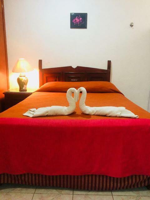 Hotel Maria'S Nicte Ha Progreso  Bagian luar foto